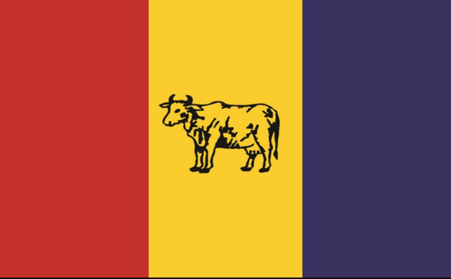 राप्रपाको महाधिवेशन कात्तिक २७ मा